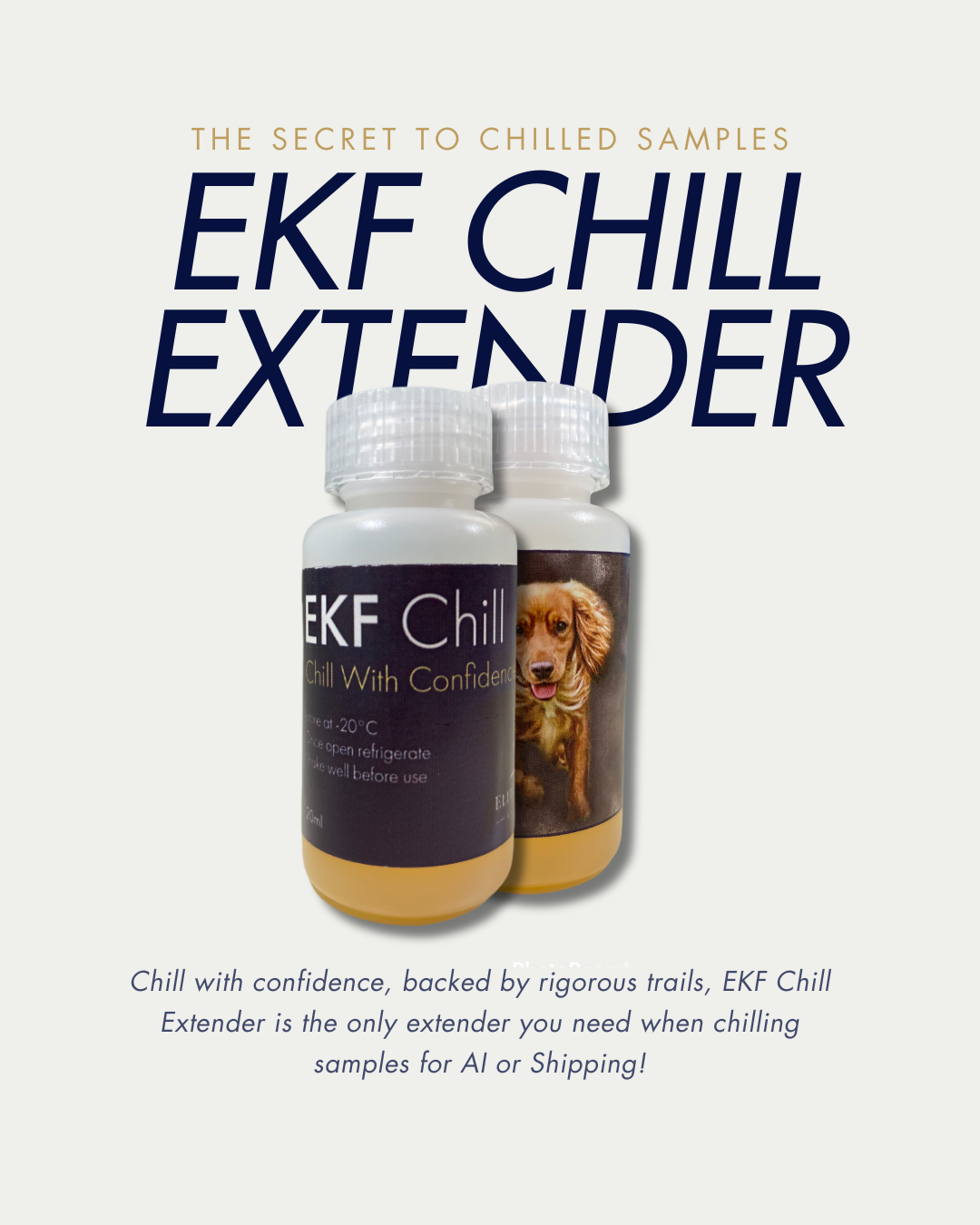 chill canine semen extender ship semen AI TCI 20mml enhancer